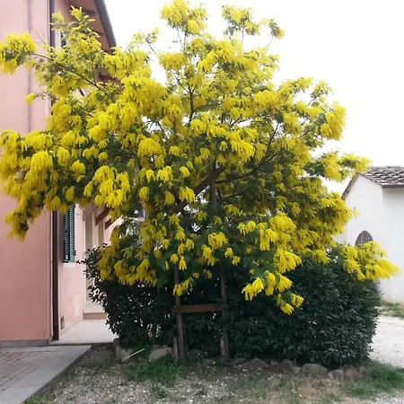 Santa Maria Διαμέρισμα