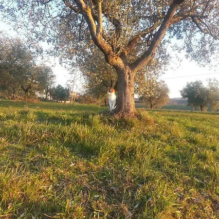 Διαμέρισμα Santa Maria *